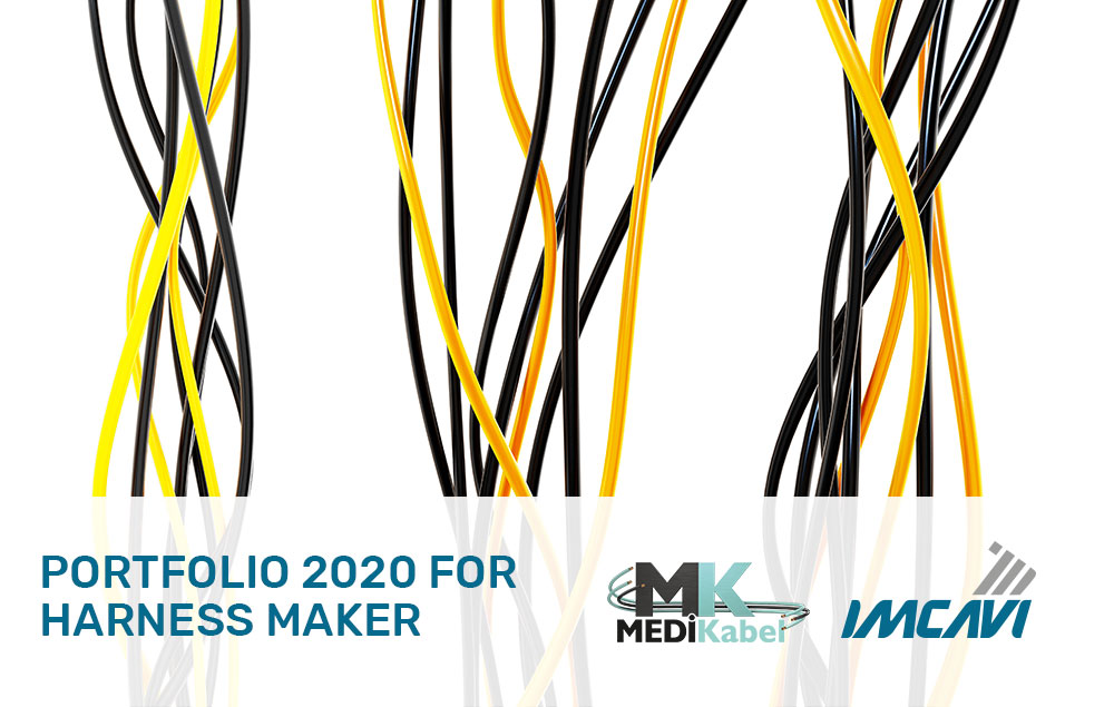 Portfolio 2020 for harness maker